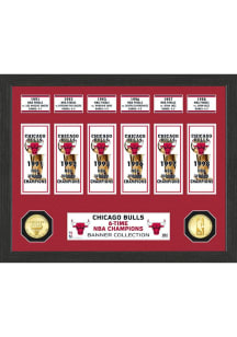 Chicago Bulls Banner Bronze Coin Photo Mint Plaque