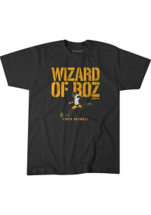 Chris Boswell Pittsburgh Charcoal Wizard of Boz Short Sleeve Fashion Player T Shirt