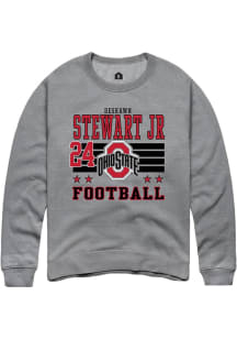 Deshawn Stewart Jr Ohio State Buckeyes Mens Grey Football NIL Striped Player Crew