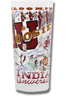 Indiana Hoosiers 15oz Hand Illustrated Frosted Pint Glass - White