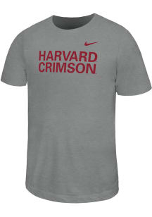 Nike Harvard Crimson Youth Dark Grey Team Wordmark Short Sleeve T-Shirt