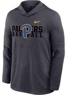 Nike Pitt Panthers Mens Anthracite DriFit Baseball Hood