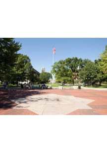 Michigan Wolverines  Postcard