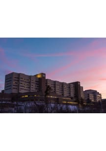 Michigan Wolverines  Postcard