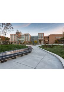 Michigan Wolverines  Postcard