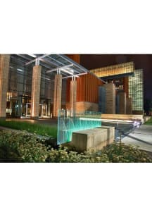 Michigan Wolverines  Postcard