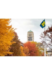 Michigan Wolverines  Postcard