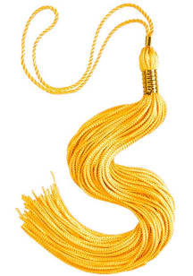 LSA Science Gold Graduation Tassel