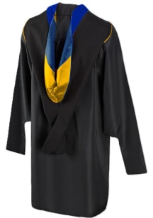 Architecture & Urban Planning Blue Violet Graduation Hood
