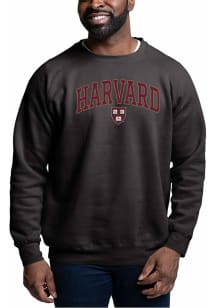 Harvard Crimson Mens Black Team Name Arch Long Sleeve Crew Sweatshirt