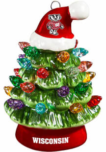 Wisconsin Badgers  Decor