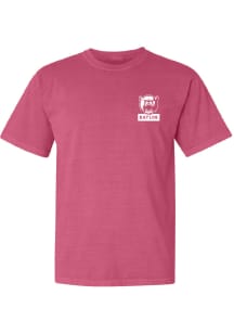Summit Sportswear Baylor Bears Womens Pink Pink Out Short Sleeve T-Shirt