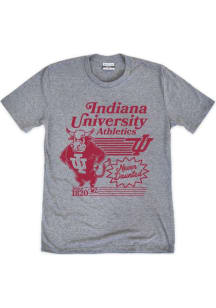 Indiana Hoosiers Grey Vault Bison Never Daunted Short Sleeve Fashion T Shirt
