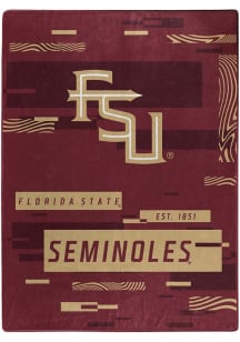 Florida State Seminoles Digitize Raschel Throw Blanket - Red