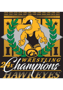 Iowa Hawkeyes Printed Hanging Tapestry Blanket