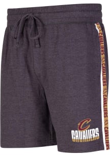 Concepts Sport Cleveland Cavaliers Mens Charcoal Team Stipe Short Shorts