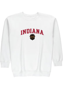Summit Sportswear Indiana Hoosiers Mens White Hoosier The Bison Embroidered Long Sleeve Crew Sweat..