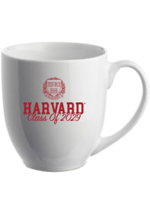 Harvard Crimson 16oz Class of 2029 Glossy Bistro Ceramic Mug - Maroon