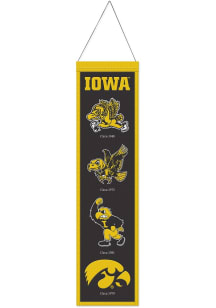 Iowa Hawkeyes 8x32 Evolution Banner - Yellow