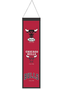 Chicago Bulls 8x32 Evolution Banner - Red