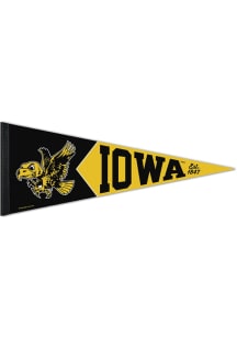 Iowa Hawkeyes Team Vault Logo Pennant - Black