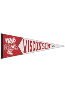 Wisconsin Badgers Team Vault Logo Pennant - Cardinal