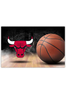 Chicago Bulls HiDef Interior Rug - Red