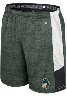 Colosseum Michigan State Spartans Youth Green Stiglar Shorts