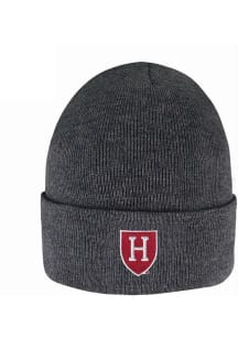 LogoFit Harvard Crimson Dark Grey South Pole Mens Knit Hat