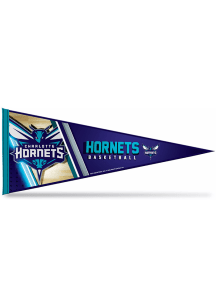 Charlotte Hornets Stripe Carded Pennant - Purple
