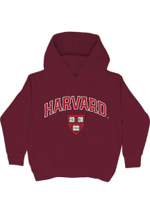 Vive La Fete Harvard Crimson Youth Maroon Arch Sam Long Sleeve Hoodie