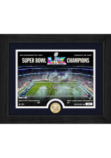 Seattle Seahawks 2025 Super Bowl LX Champions Celebration Plaque