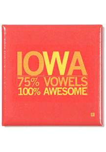 Ames Raygun Iowa Vowels Metal Magnet