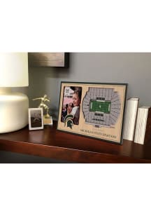 Michigan State Spartans Stadium View 4x6 Picture Frame - Brown
