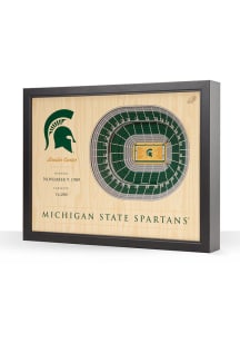 Michigan State Spartans 3D Stadium View Wall Art - Green