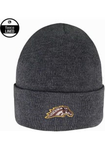 LogoFit Western Michigan Broncos Charcoal Southpole Mens Knit Hat