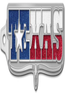 Texas State Flag Longhorn Keychain - Silver