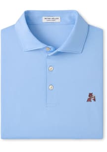 Peter Millar Arkansas Razorbacks Mens Light Blue Hugo Short Sleeve Fashion Polo