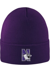 LogoFit Northwestern Wildcats Green North Pole Mens Knit Hat