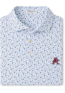 Peter Millar Arkansas Razorbacks Mens Light Blue Kick Off Short Sleeve Fashion Polo