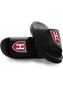 Harvard Crimson Primary Motive Mens Slides