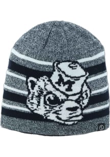 Zephyr Michigan Wolverines Grey Heather Spotlight Mens Knit Hat