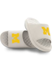 Michigan Wolverines iSlide Motive Mens Slides