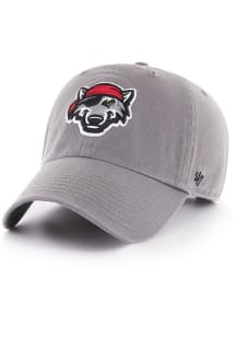 47 Erie SeaWolves Clean Up Adjustable Hat - Dark Grey