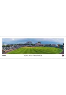 Blakeway Panoramas Auburn Tigers Baseball Tubed Unframed Poster