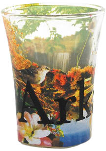 Arkansas Local Icons Shot Glass