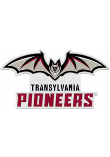 Transylvania Pioneers Sport Shape Pennant - White