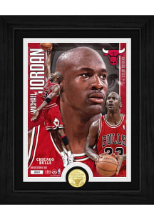 Michael Jordan Chicago Bulls Artist Proof Bronze Coin Photo Plaque