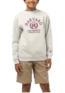 Harvard Crimson Youth White Arch Wordmark Laurels Long Sleeve Crew Sweatshirt