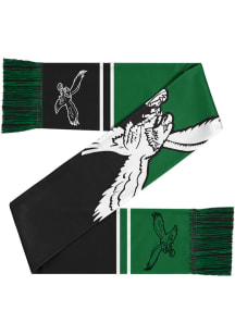 Forever Collectibles Philadelphia Eagles Colorblock Cropped Big Logo Mens Scarf